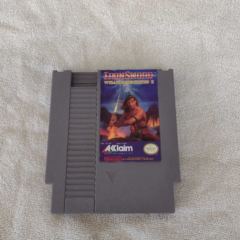 Iron Sword Wizards and Warriors II